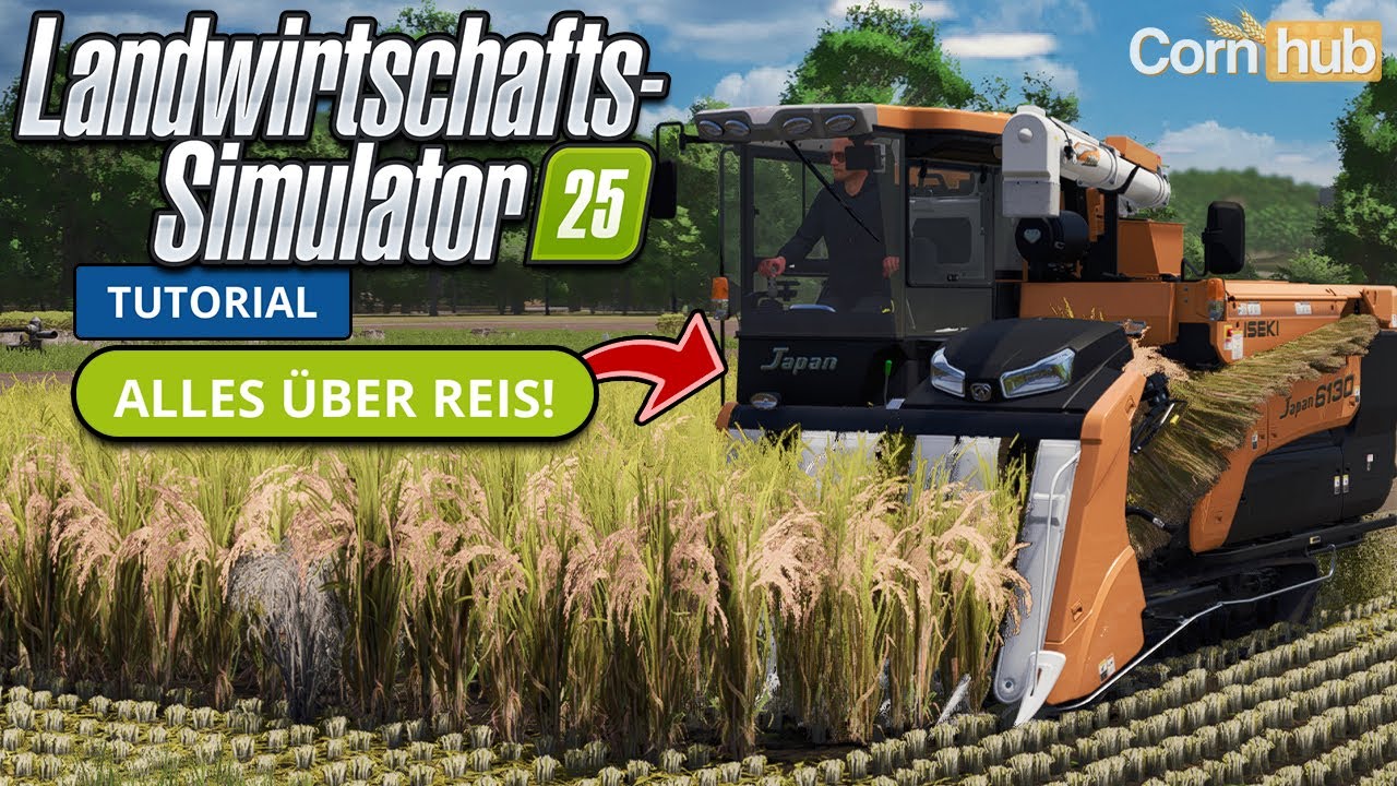 LS25 Reis – Alles, was du über Anbau und Ernte wissen musst!