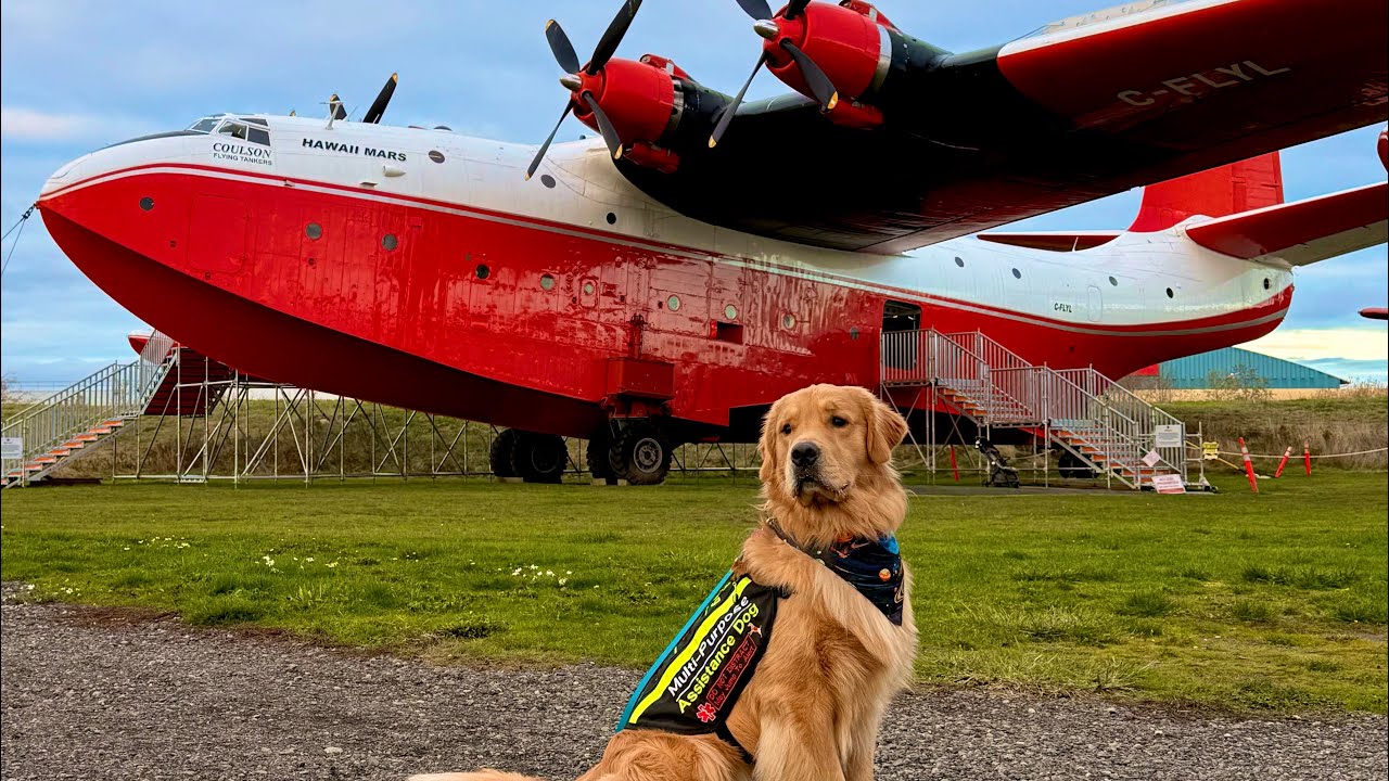 Service Dog Vlog| Aviation Museum/Shopping November Vlog