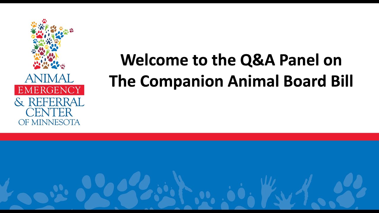 Q&A on Companion Animal Board Bill