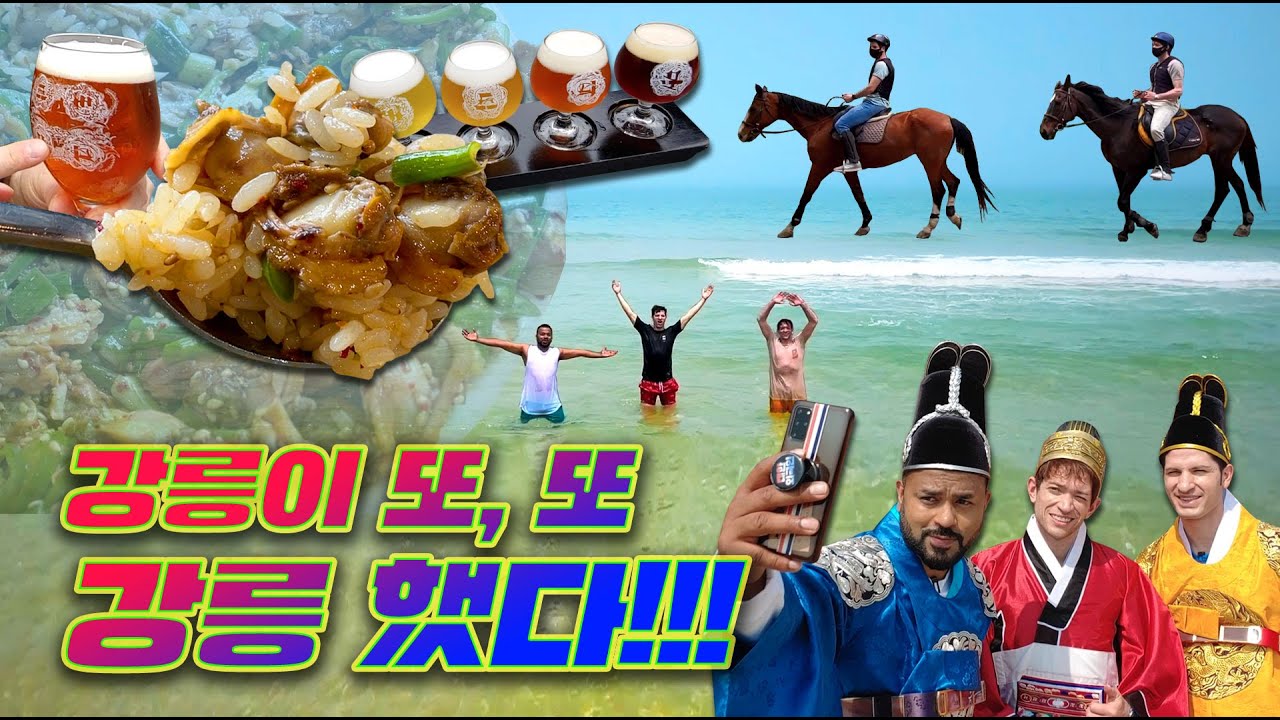 (sub)[354 근황_#46] 354 in 강릉 | 강릉에 가면~ 승마도 하고🐴 꼬막 비빔밥도 먹고~ 초당두부도 먹고! | 강릉 럭셔리 여행으로 초대합니다✨