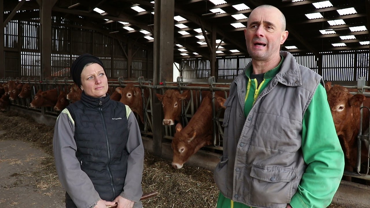 Partage de pratiques : installations de contention animale en élevage bovin en Meurthe-et-Moselle #3