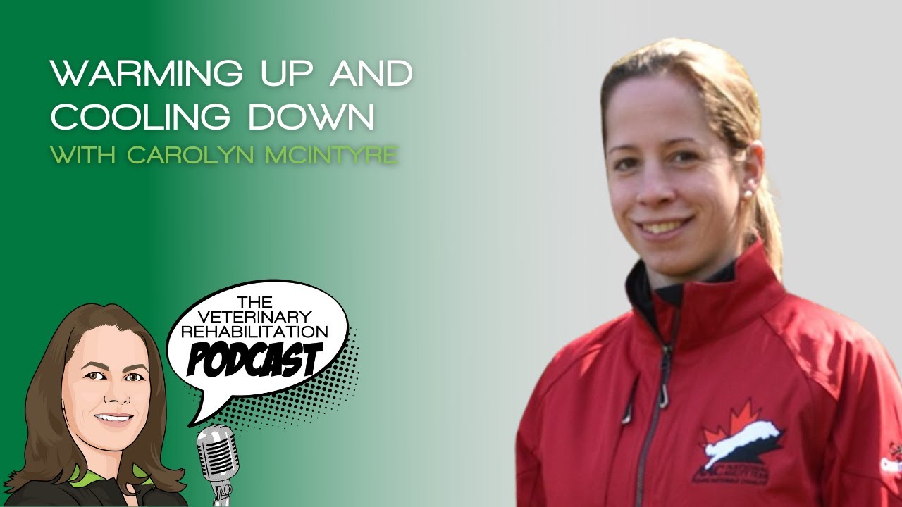 Warm-up and Cool-down Routines, with Carolyn McIntyre