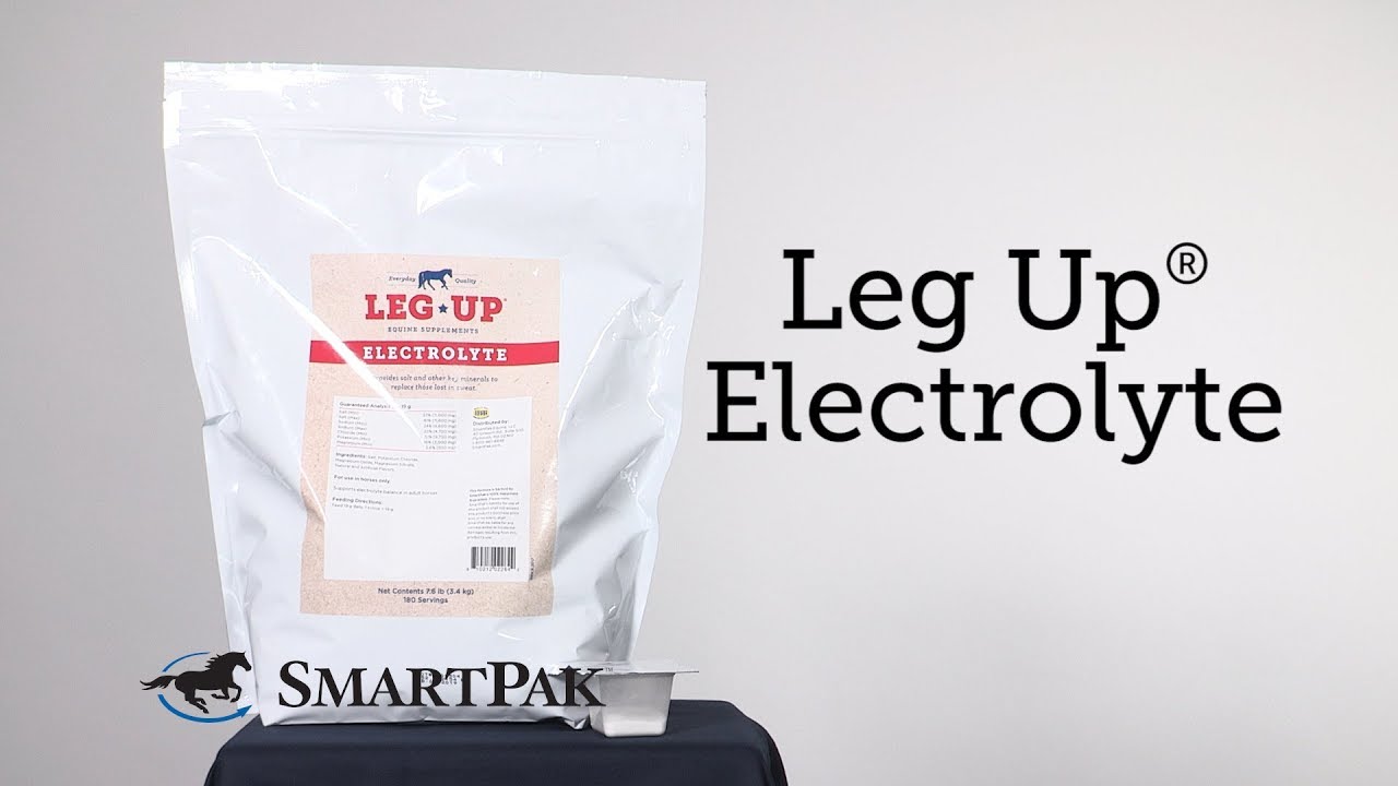 Leg Up&reg; Electrolyte equine supplement review