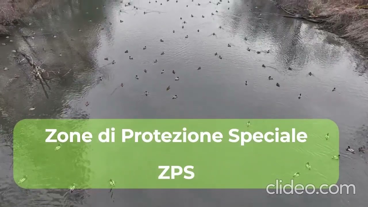 Pillole di fruizione delle Aree Protette: la Direttiva Uccelli e le ZPS