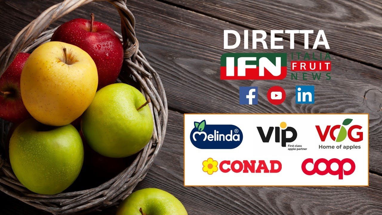 Mele sotto la lente di IFN