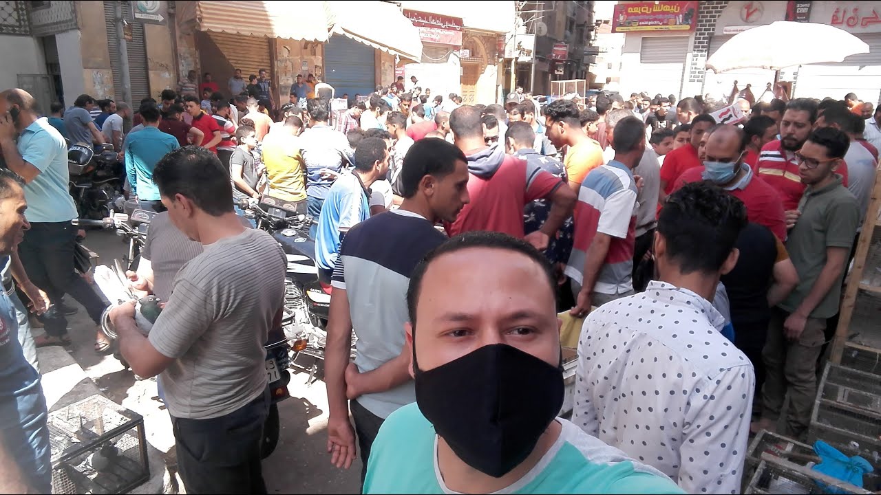 #لااول_مره_في_سوق_دمنهور بيض حمام مخصب من اليابان مع الااستاذ عمرو او خالد