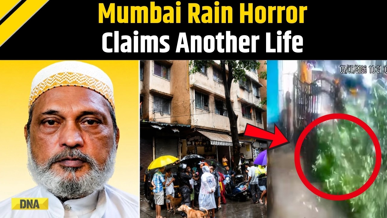Mumbai Rains: 63-Year-Old Man Killed After Tree Falls On Shop | Mumbai News