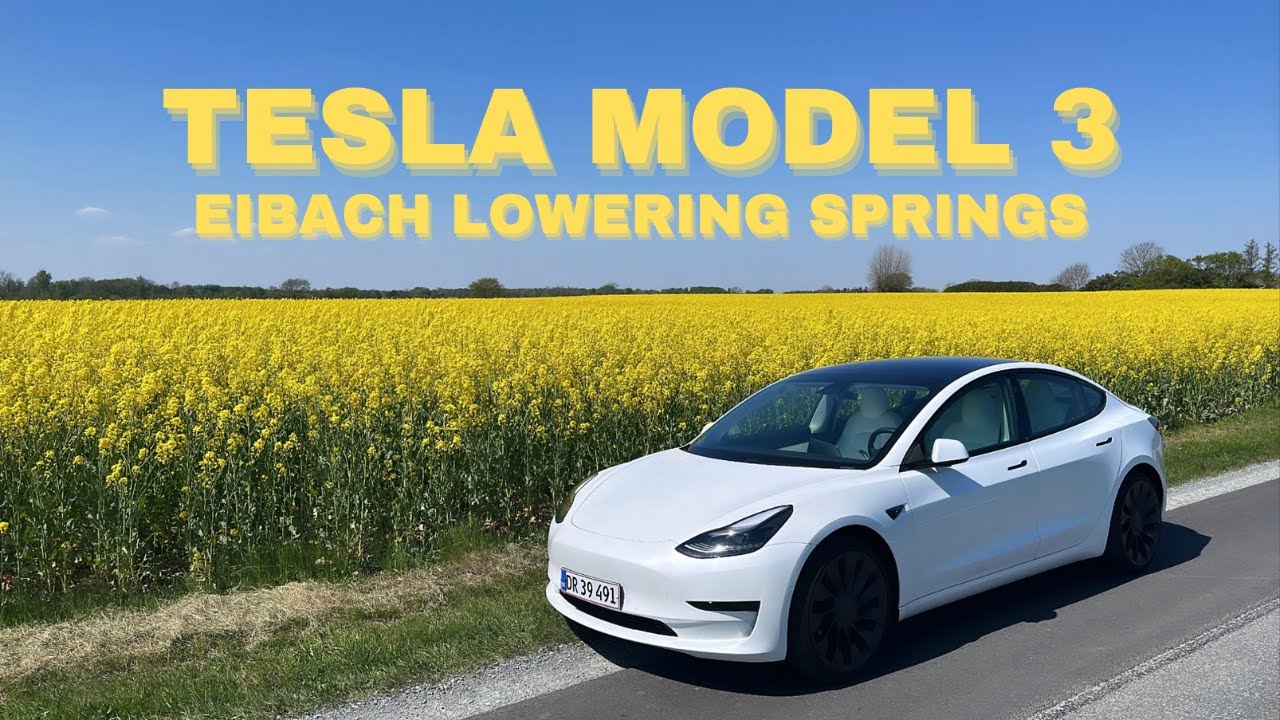 TESLA MODEL 3 LOWERING SPRINGS (EIBACH)