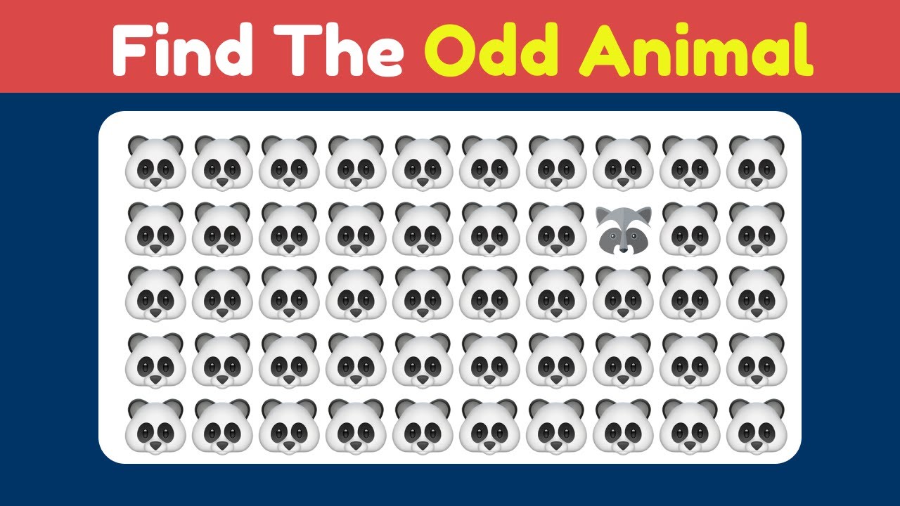 Find The Odd Animal Out! 🐼 Odd One Out Puzzle (90% Fail)