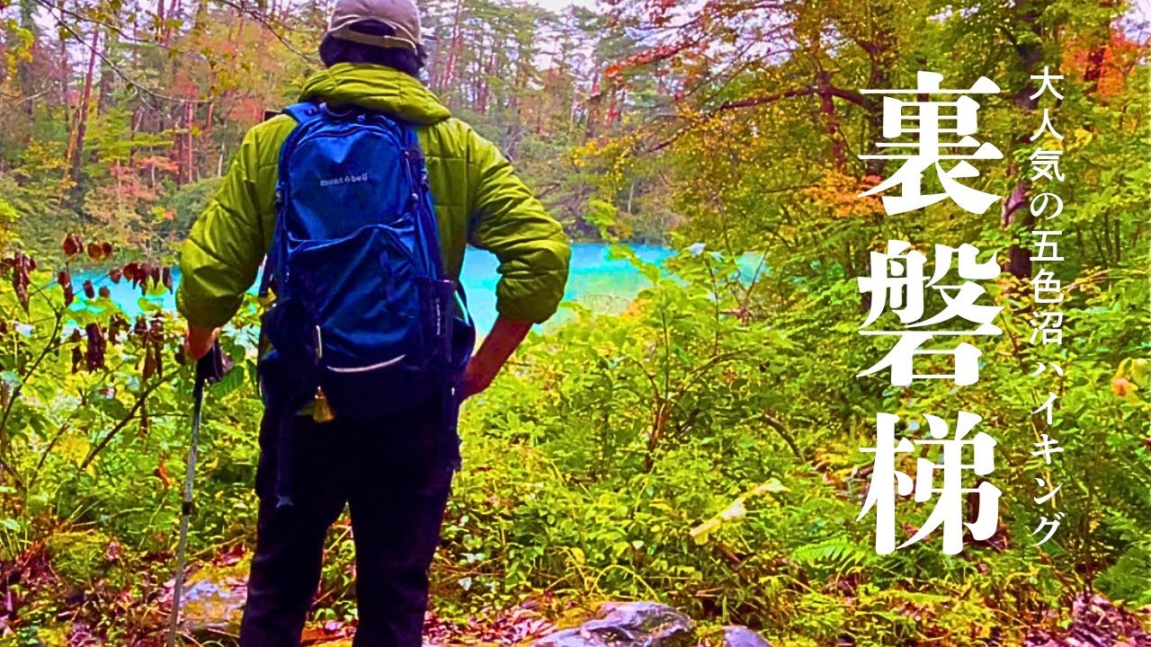 【裏磐梯】連日の熊に怯え…