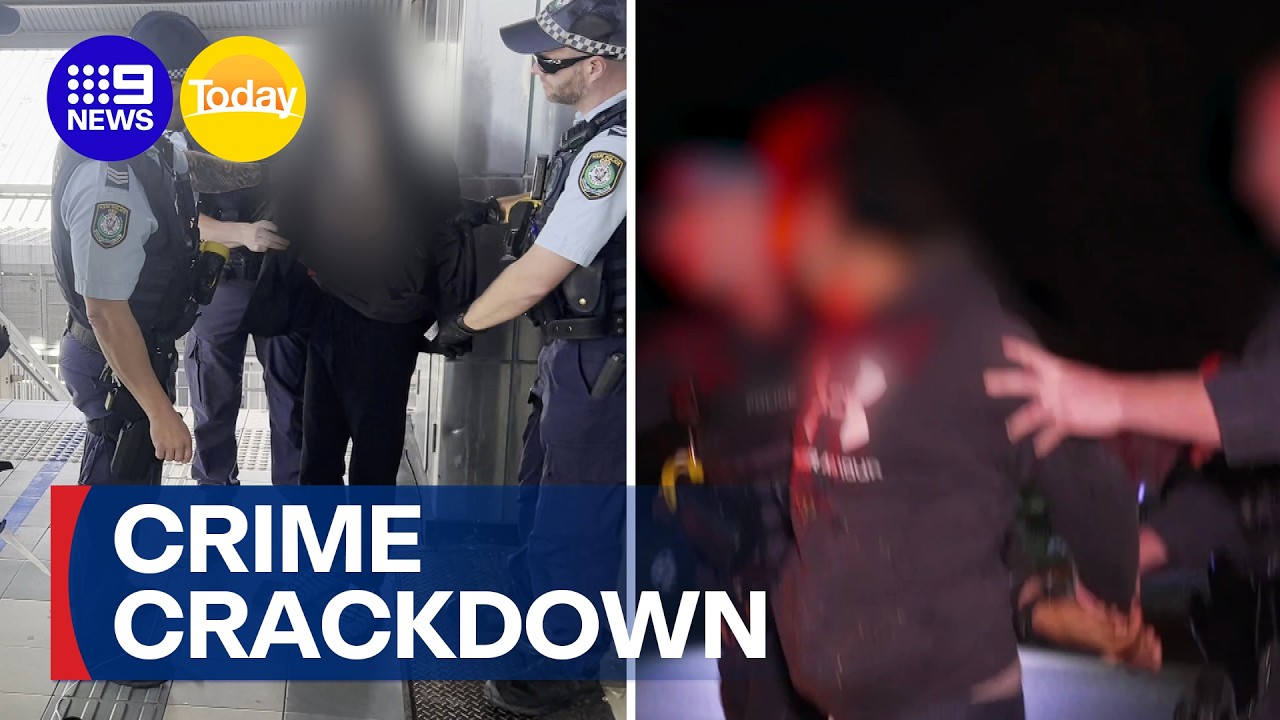 New intelligence finds 500 gangs operating across NSW | 9 News Australia