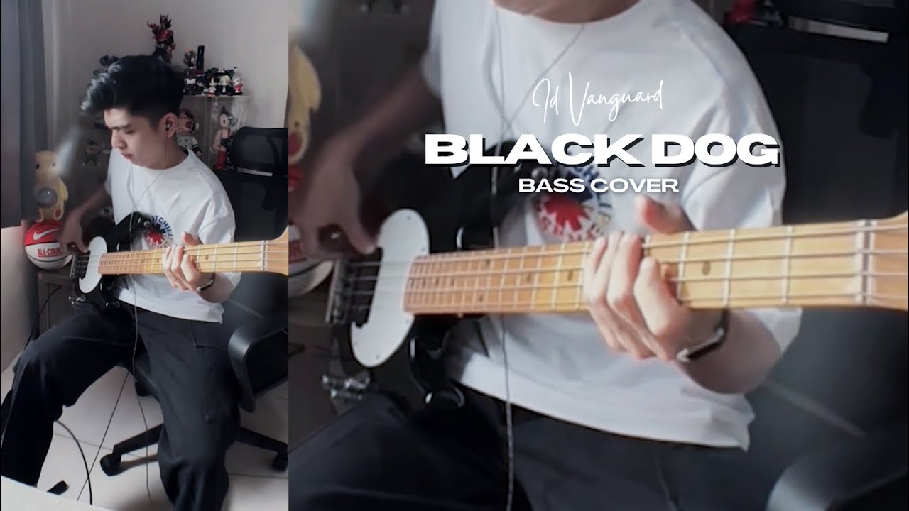 Led Zeppelin - Black Dog [Басовый кавер] #093