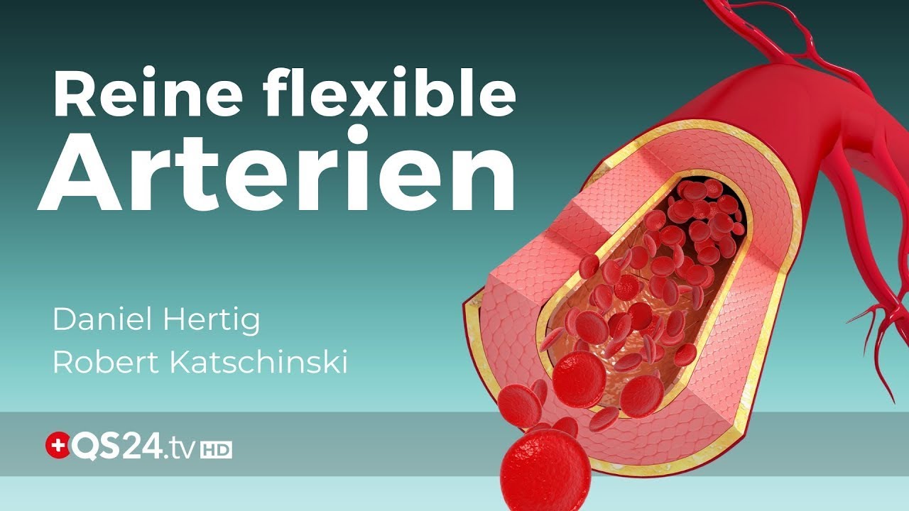 Schlaganfälle und Hirnblutungen sind verhinderbar! | @QS24