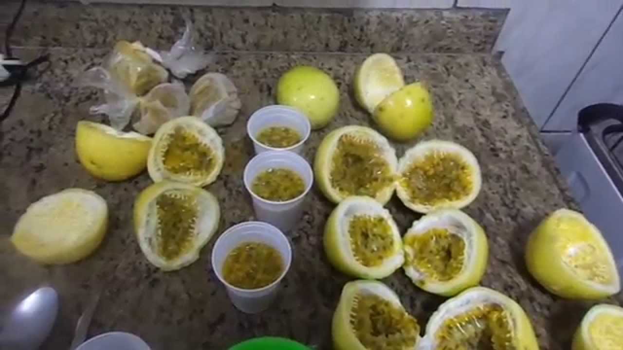 Como armazenar polpa do maracujá!