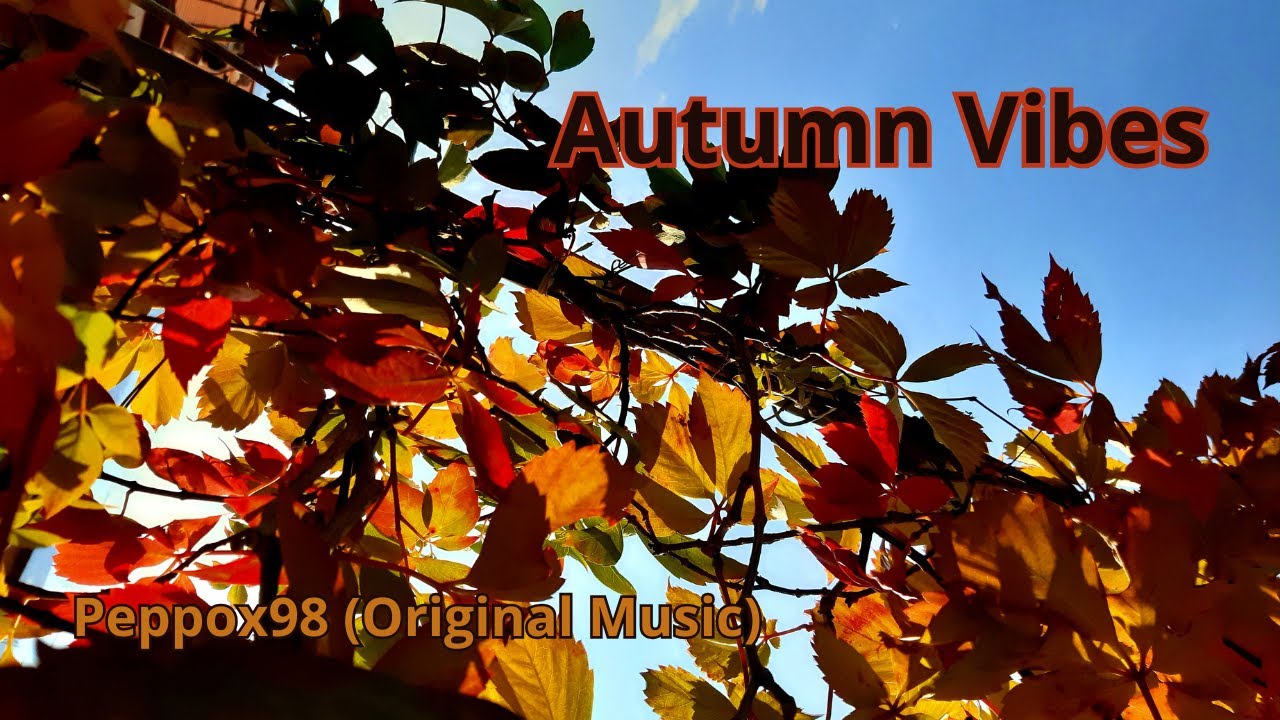 Autumn Vibes | Peppox98 | Original Music |