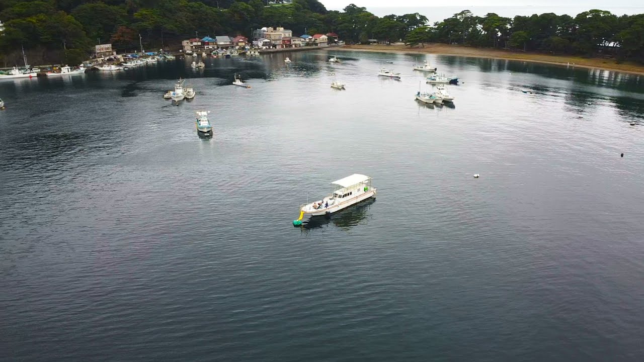 網ですくえるほどの魚影！穏やかな湾にポツンと浮かぶ係留船で集魚灯を焚くと足元で青物が爆湧き