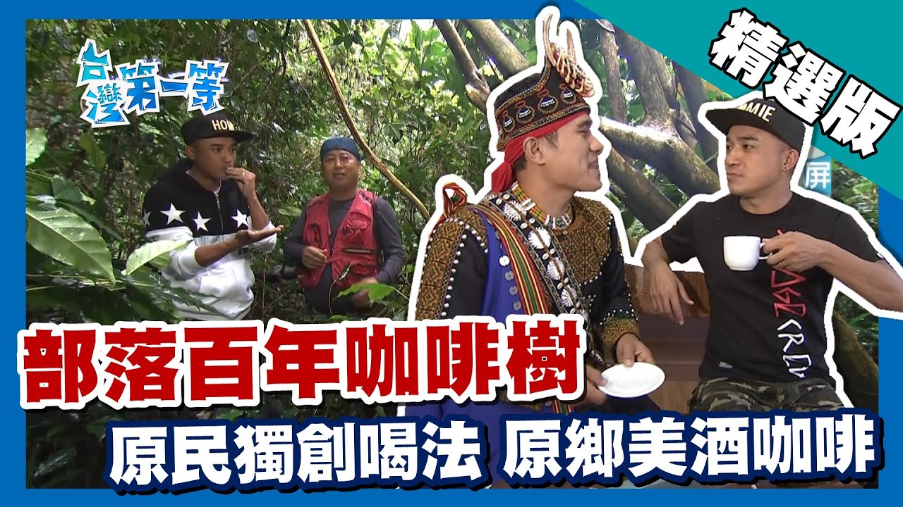 台灣第一等【原鄉極品咖啡 日治時代種植百年老咖啡樹（禮納里部落黃金咖啡／吾拉魯茲村原萃咖啡／武夫）】屏東 _精選版
