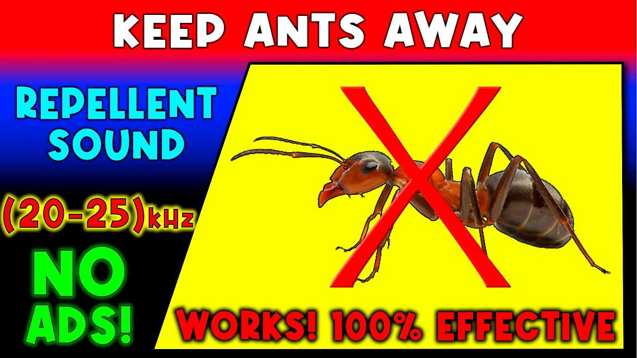 ANTI ANTS REPELLENT SOUND ⛔🐜 KEEP ANTS AWAY - ULTRASONIC SOUND