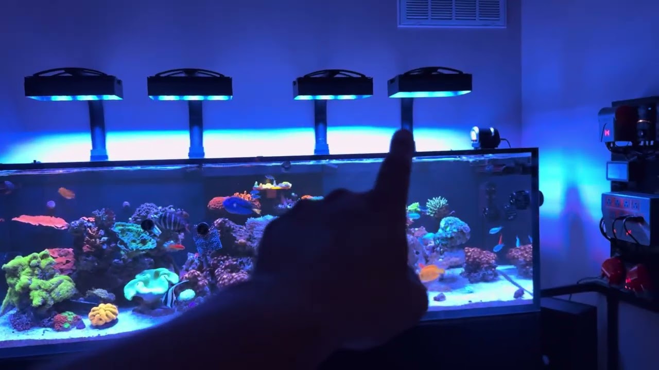 The Red Sea S-1000 debut! 
