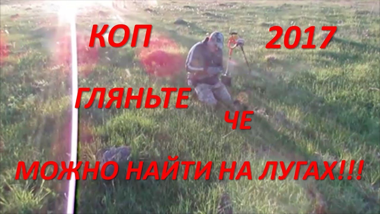 КОП 2017. ГЛЯНЬТЕ, ЧЕ МОЖНО НАЙТИ НА ЛУГАХ!!!