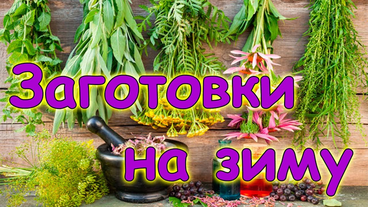 Заготовки 2017 - наша 20 кубовая сушилка для трав, морозим, сушим. (08.17г.) Семья Бровченко.