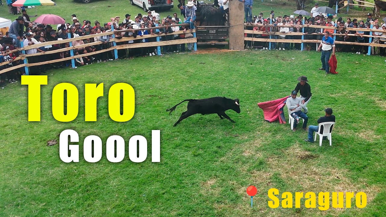 Toros Bravos en Fiestas de Saraguro 😱🤣