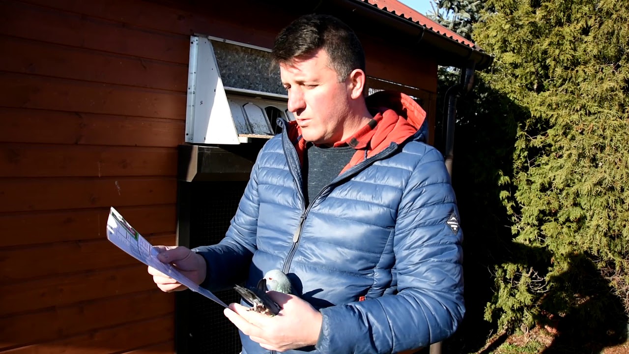 Arkadiusz Toma - PZHGP 0274 Piotrków Trybunalski / Wielka Droga Do Sukcesu !