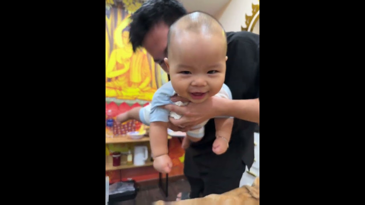 Bơ và a Đen 2025