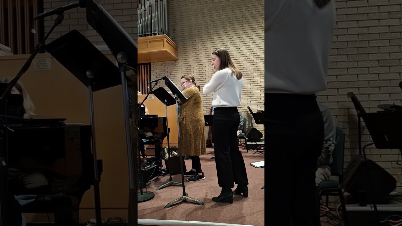 Hallelujah by Leonard Cohen (Flute Duet)
