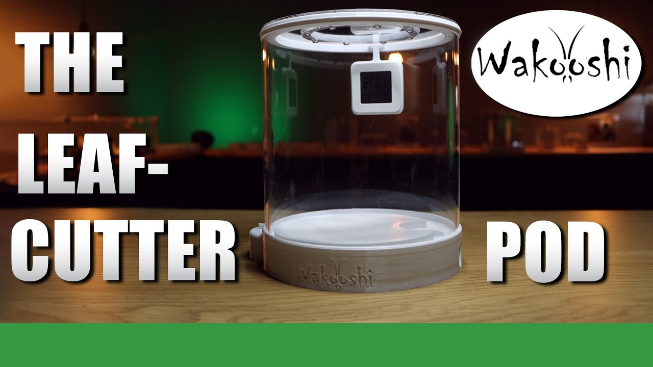 WAKOOSHI LEAFCUTTER PODS - THOUGHTS AND HOW TO USE | Ant Holleufer