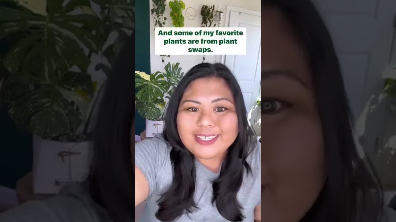 Wishlist Plants from Plant Swaps #shorts #houseplants #plantshorts