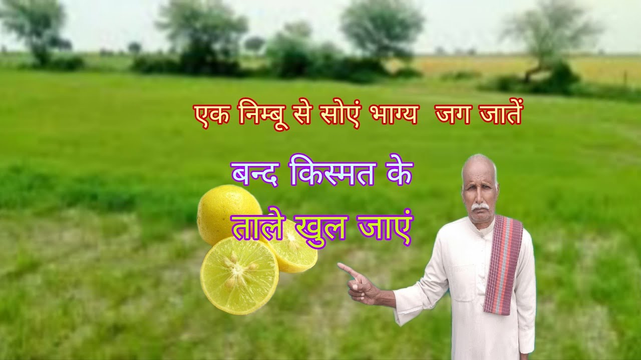 एक निम्बू से सोएं भाग्य भी जग जाएं धन दौड़ कर आएंगे हर कार्य मे सफलता कदम चूमेगी