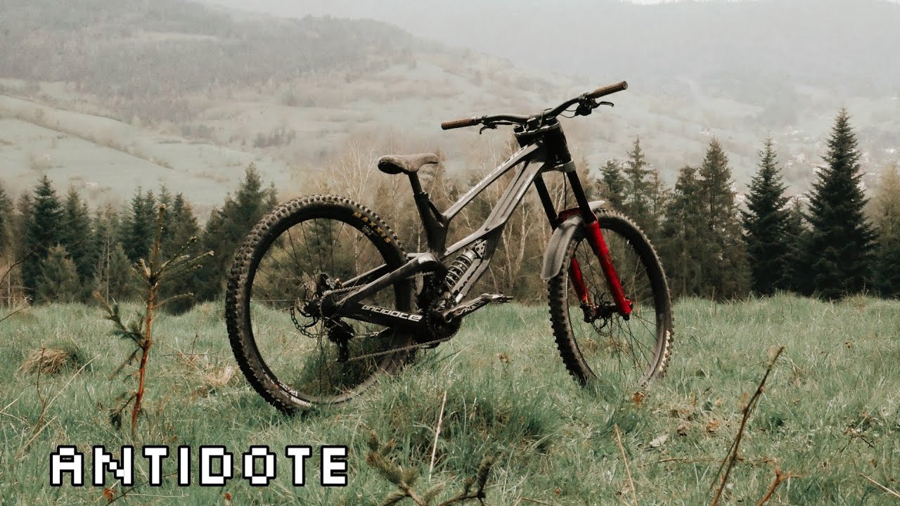 Antidote Darkmatter 29 DH bikecheck
