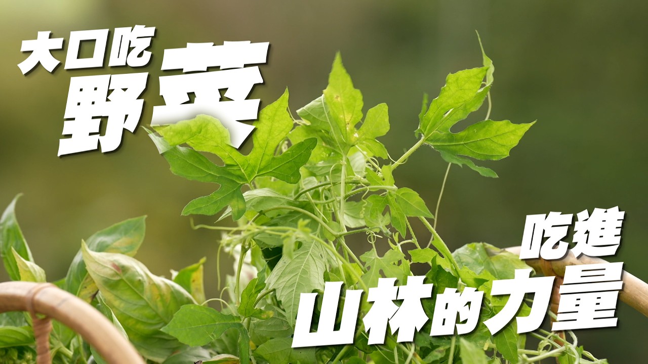 【大愛全紀實】 野菜的滋味｜見青即是菜｜甚麼都能吃甚麼都不奇怪 20260214