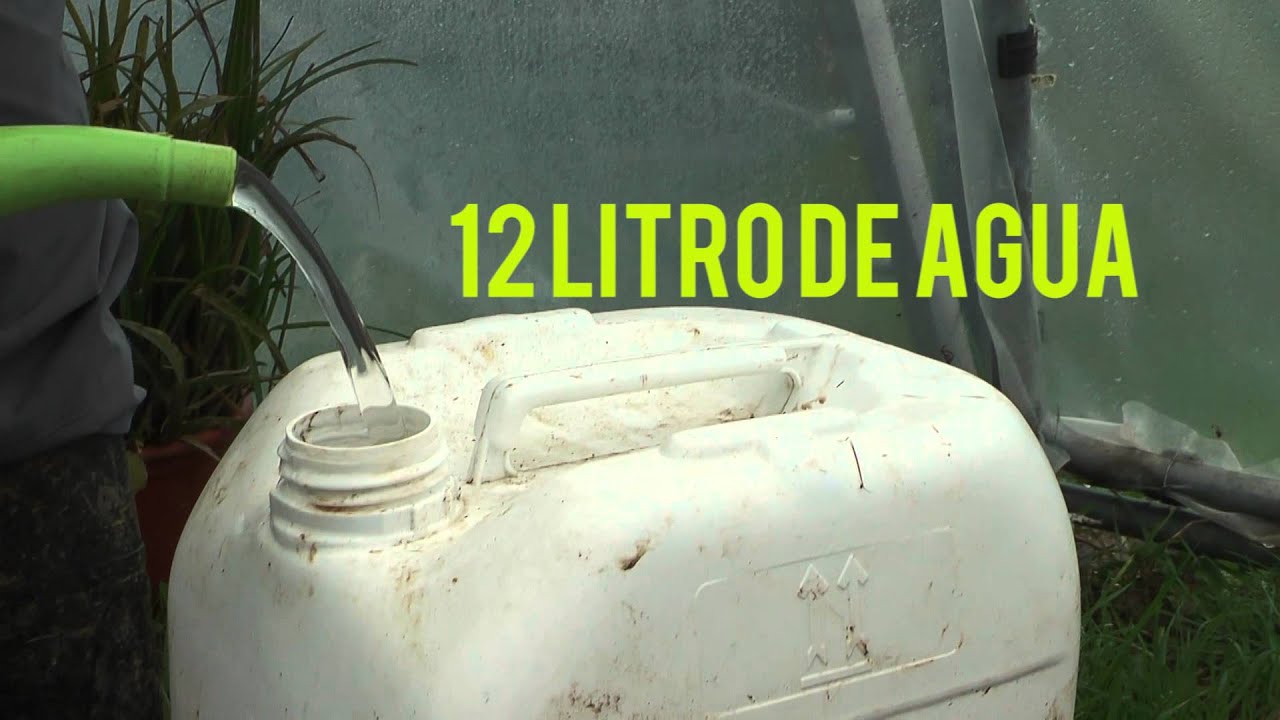¿Cómo se multiplican los microorganismos del suelo ?/How multiply microorganisms of soil?