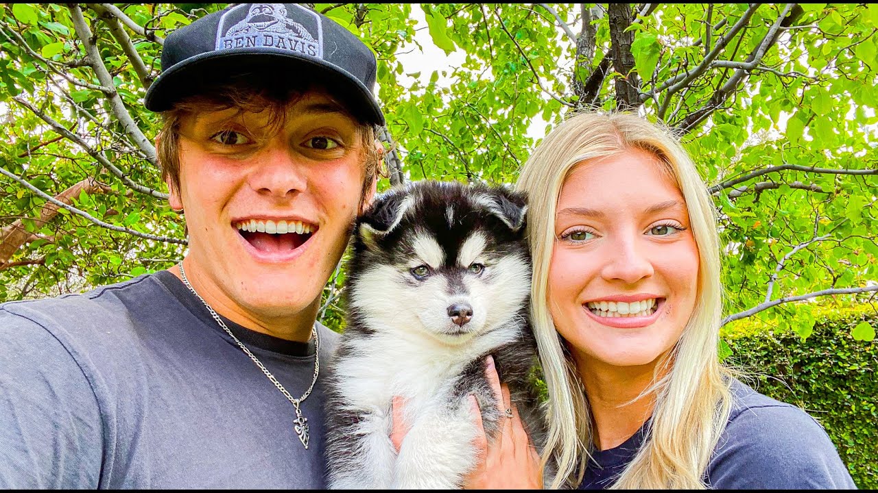 WE GOT A PUPPY!