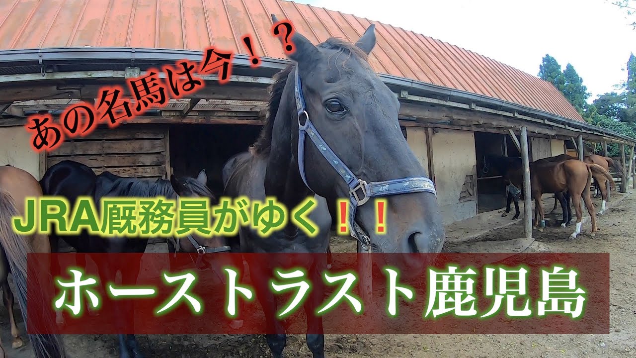 【あの名馬は今！？】JRA厩務員がゆく！ホーストラスト鹿児島