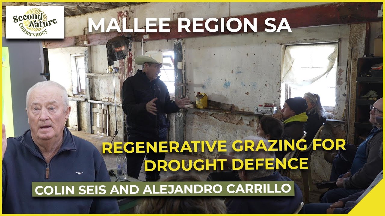 Mallee - Regenerative Grazing Workshop, with Colin Seis and Alejandro Carrillo, May 2025.