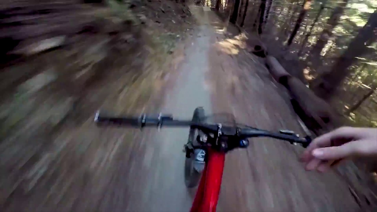 Zapping Mtb // Downhill // Freeride Best and funny Moments // Crash //