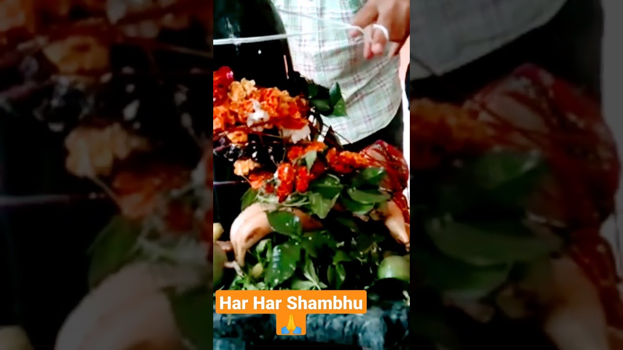 Shivratri ki Shubhakaamanaen 🙏 #shorts #shortsvideo #youtubeshorts #shivratri #mahadev #shiv #puja