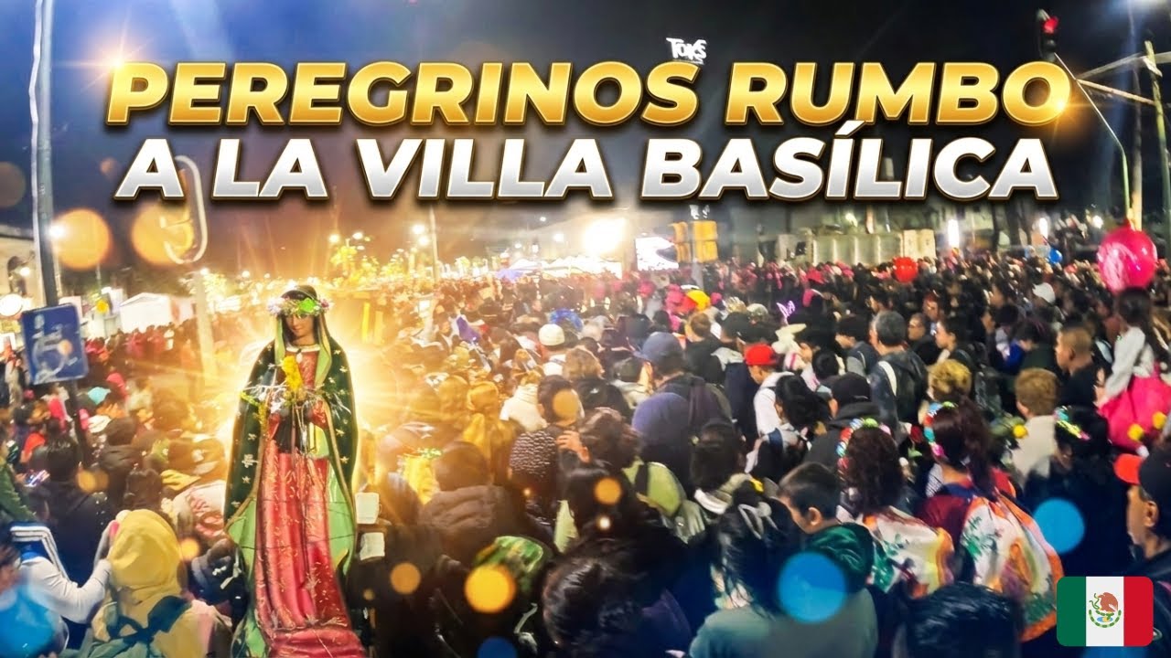 Peregrinación a la Basílica de Guadalupe: La Solidaridad del Pueblo Mexicano | Viven la Fe en CDMX