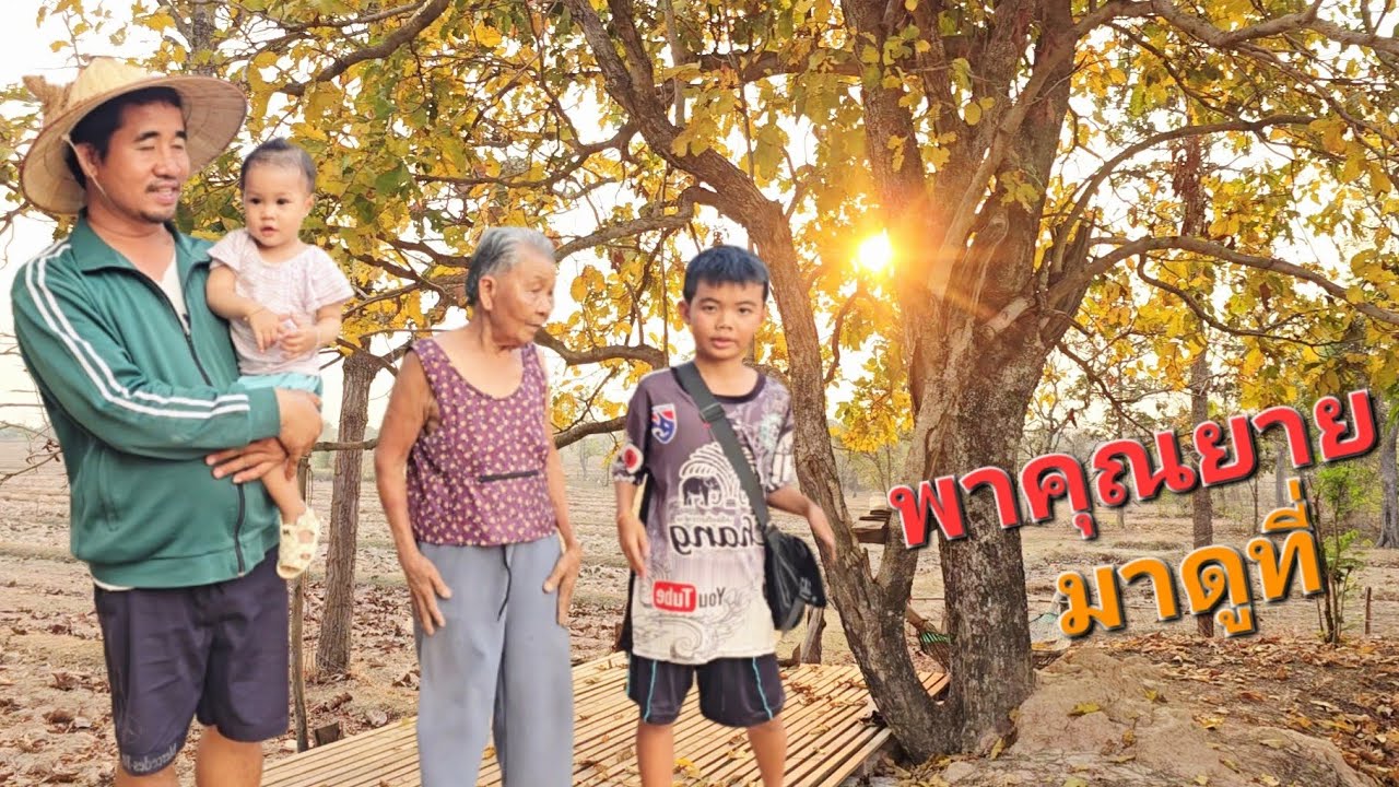บ่าวหมี พาคุณแม่.