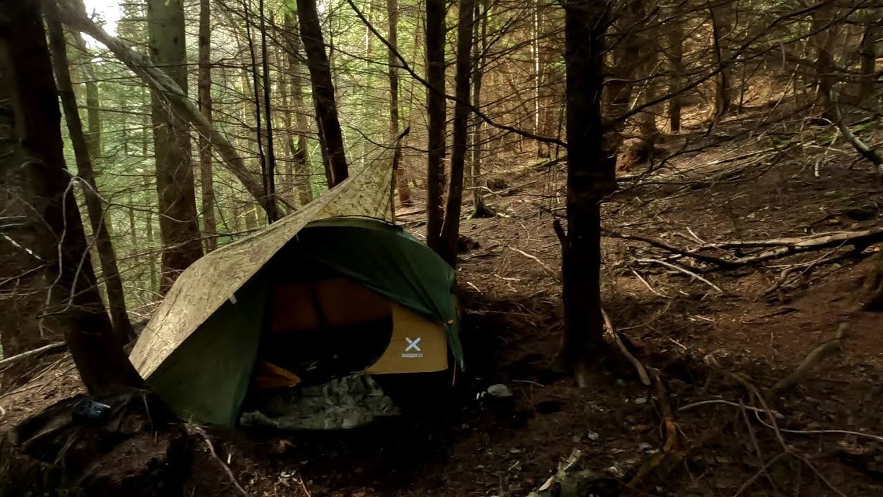 solo wild camp in the deep woods!