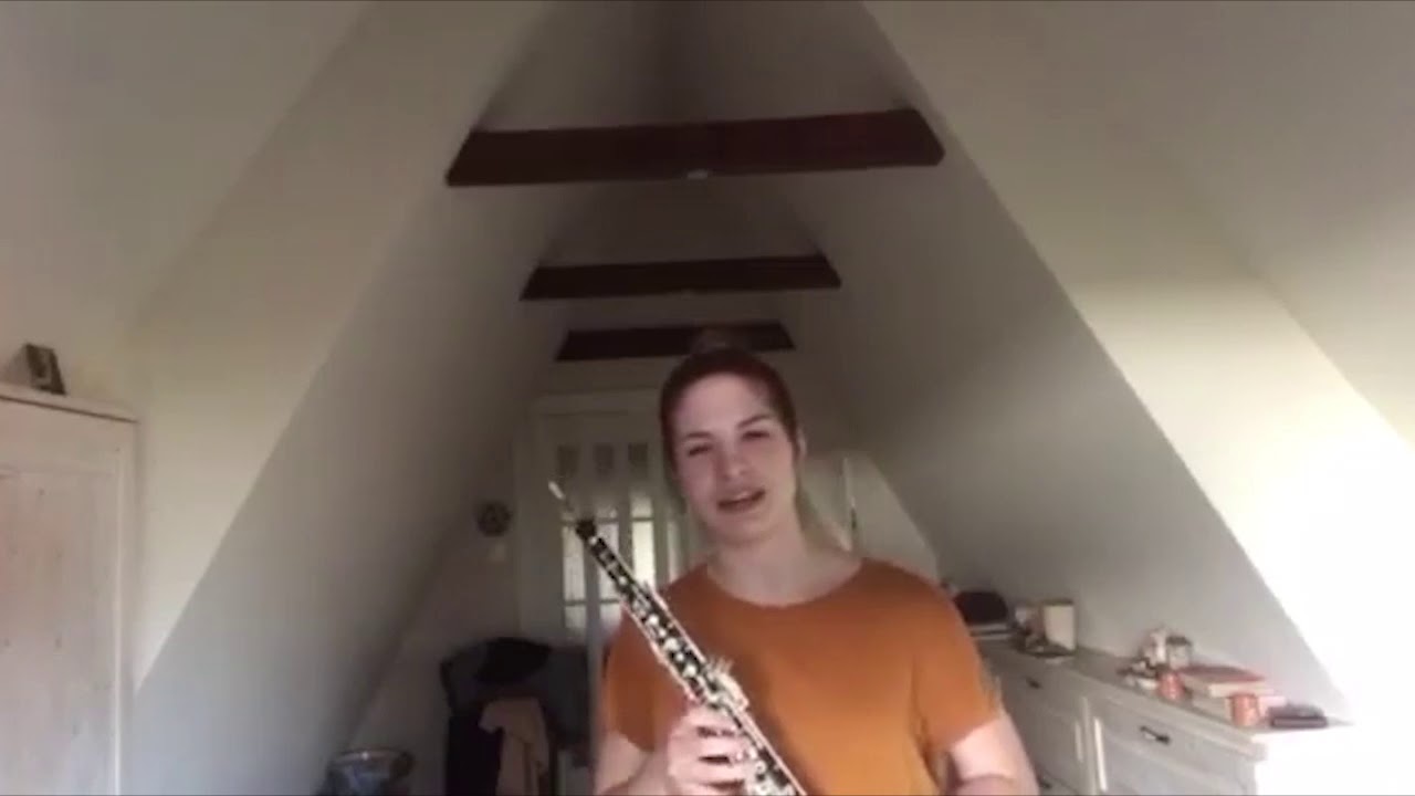 Hangszerbemutató - oboa