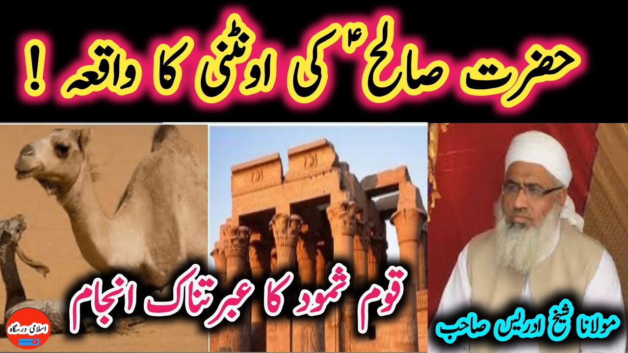 Hazrat Saleh Alaihissalam Ka Waqia | Molana Idrees-Qisas Al Anbiya | حضرت صالح علیہ السلام کا واقعہ