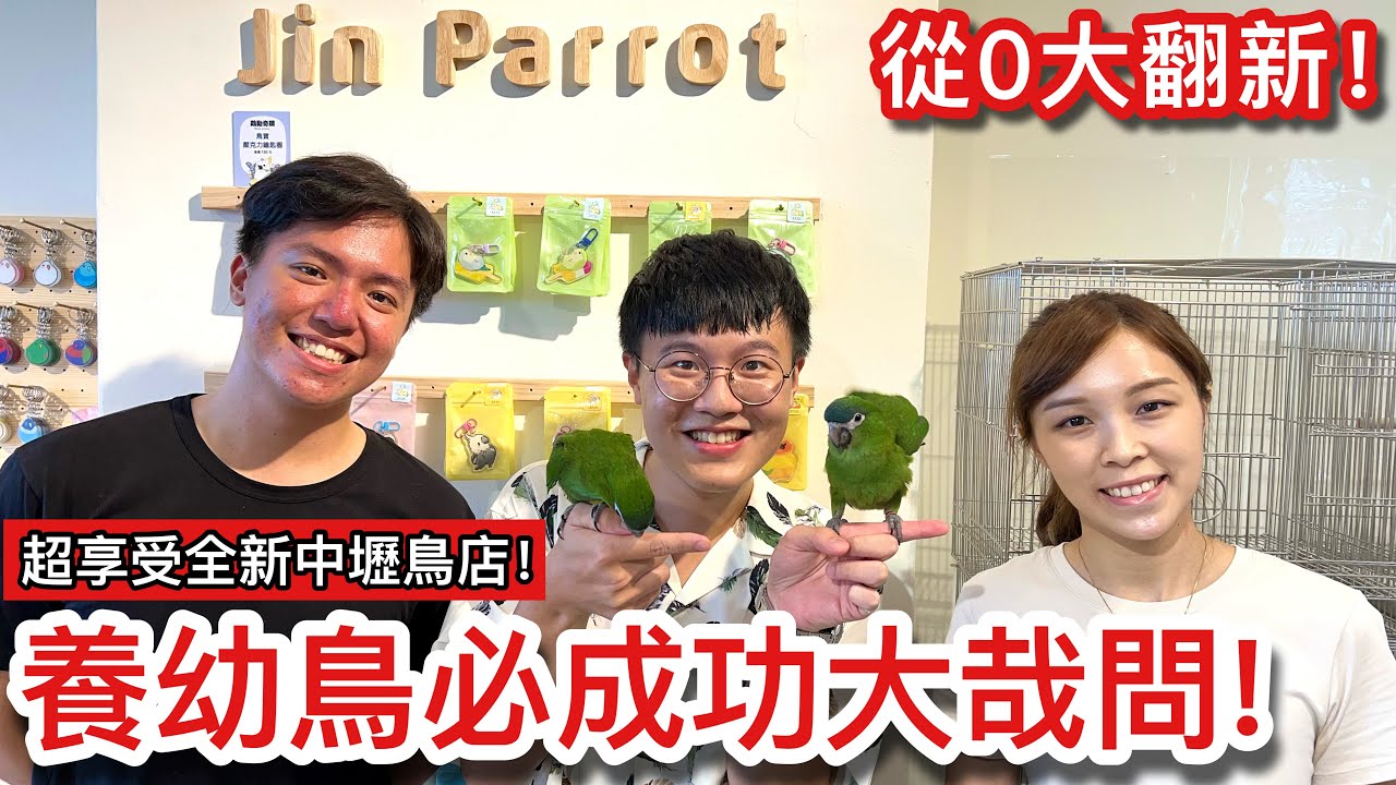 逛鳥店！紅肩金剛寶寶上手互動「超親密」？新手「養幼鳥」大補帖！鳥店老闆親自說明鸚鵡「學說話」關鍵！【鸚鵡小木屋】【鳥店的鵡後時光】本集非業配