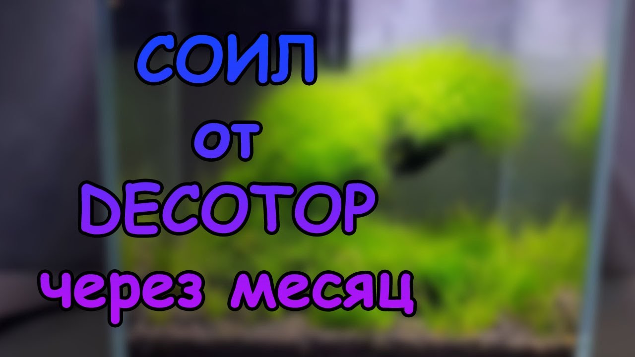 СОИЛ ОТ DECOTOP ЧЕРЕЗ МЕСЯЦ. ТЕСТЫ, ВЫВОДЫ И ПЕРСПЕКТИВЫ #АКВАМЕН #АКВАРИУМ