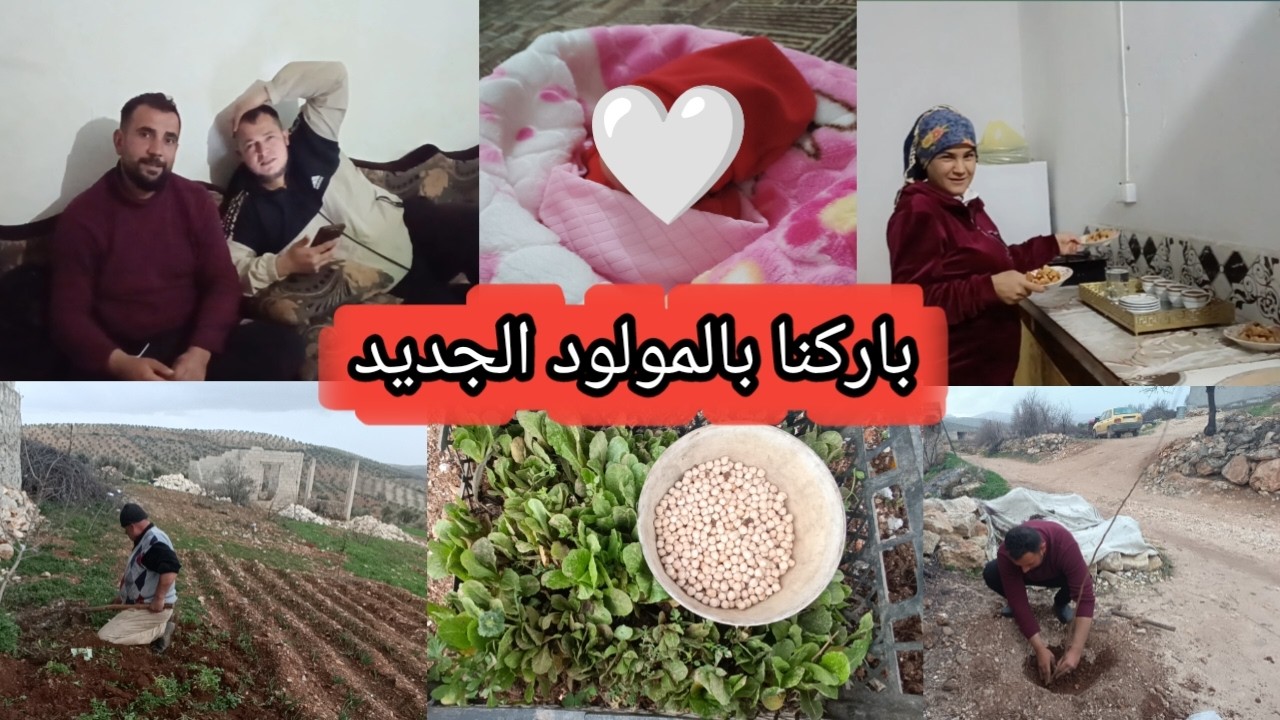 رحنا باركنا بالمولود الجديد | بيت آلان و حياة | عمي زرع خس و حمص و حسام زرع منغا | تابعوا للأخير