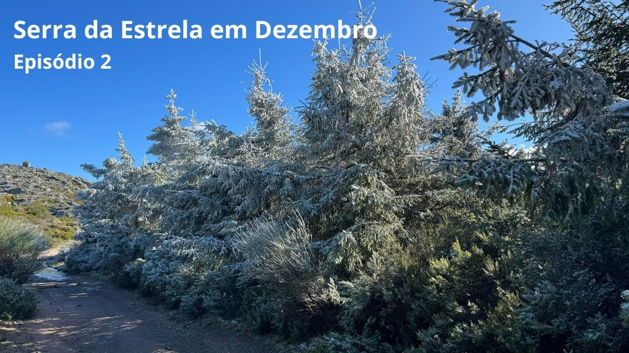 Tesla Road Trip Serra da Estrela | Ep 2 | dia seguinte com Sol