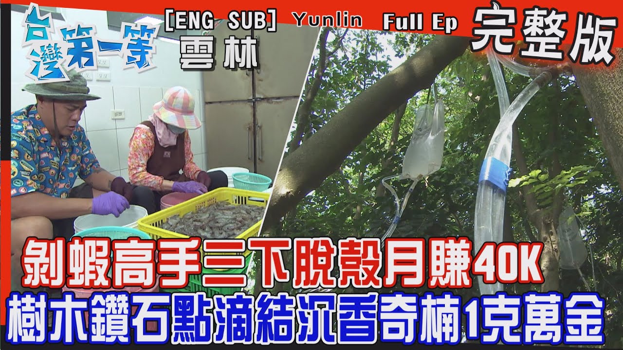 [全新] Yunlin【高手剝蝦